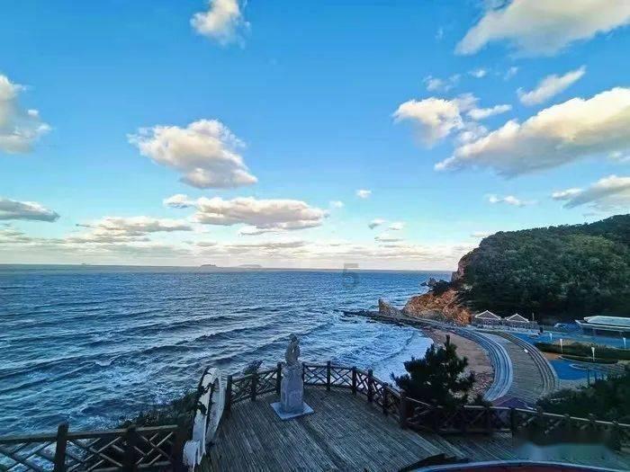 虫虫助手下载