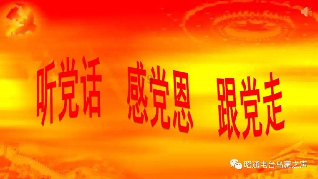小猫钓鱼游戏龙王版有船