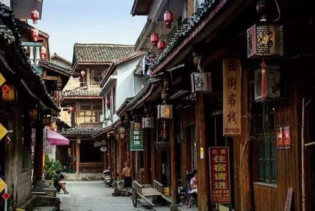 动物帮帮忙保卫家园